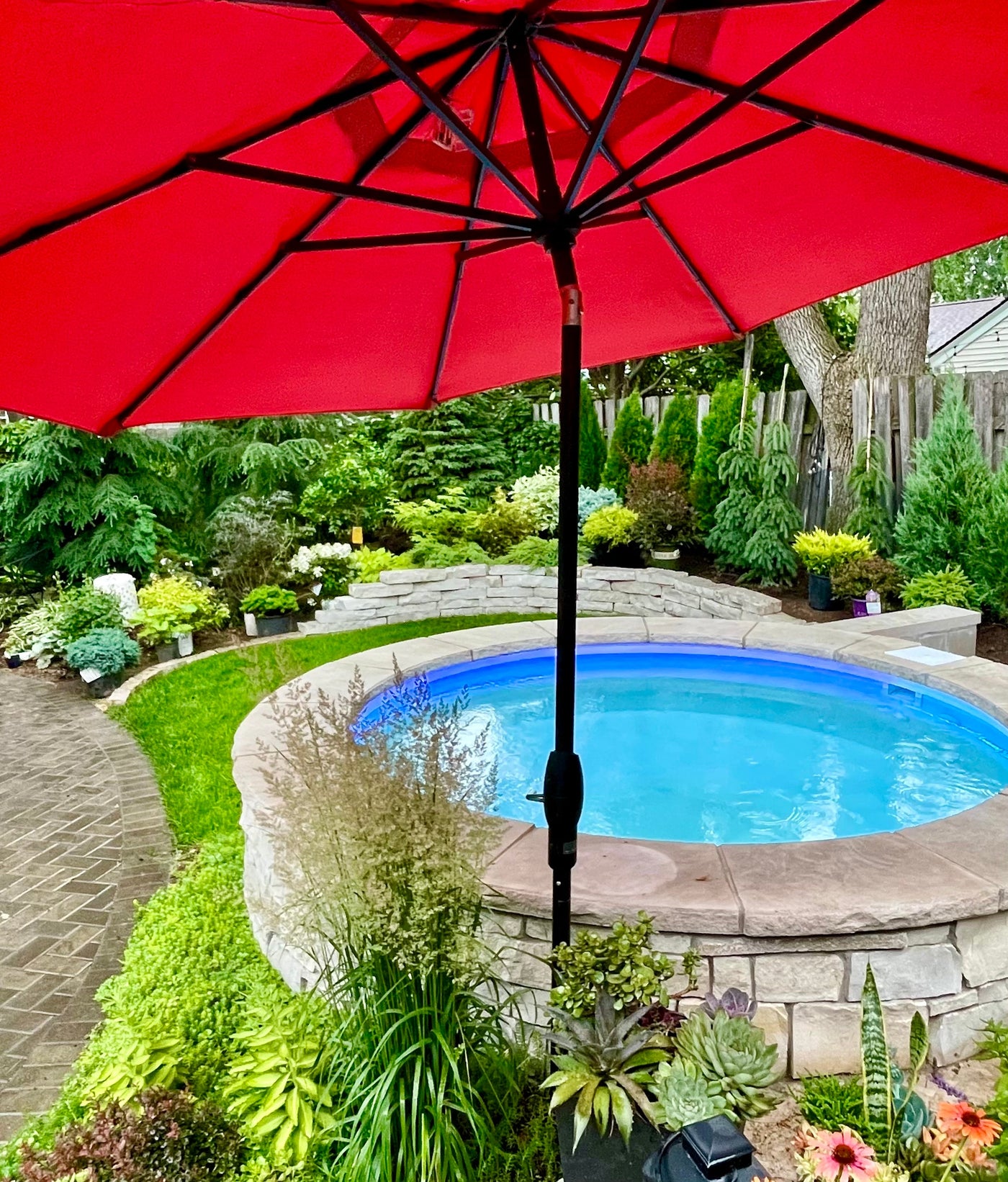 Trendy Back Yard Pools